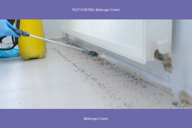 PEST CONTROL Ballenger Creek